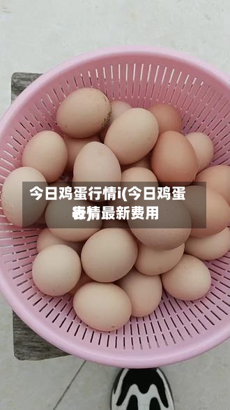 今日鸡蛋行情i(今日鸡蛋行情最新费用表)
