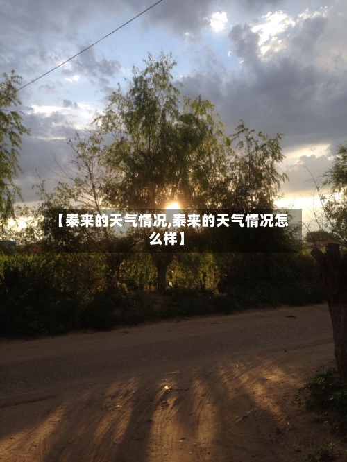 【泰来的天气情况,泰来的天气情况怎么样】