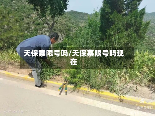 天保寨限号吗/天保寨限号吗现在-第2张图片