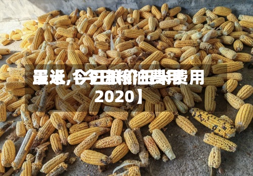 最近【今日粮油费用
玉米,今日粮价玉米费用
2020】-第2张图片