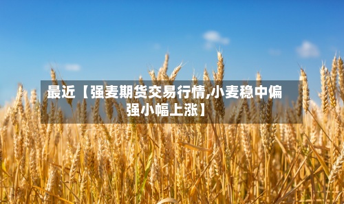 最近【强麦期货交易行情,小麦稳中偏强小幅上涨】