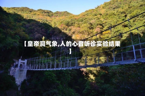 【皇帝洞气象,人的心音听诊实验结果】-第2张图片