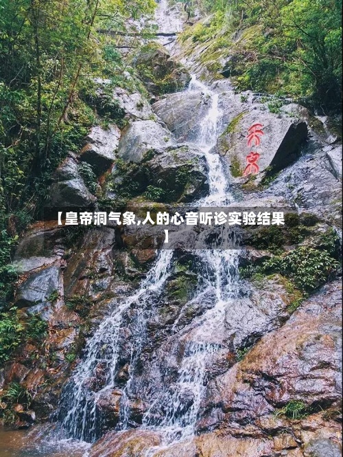 【皇帝洞气象,人的心音听诊实验结果】-第3张图片