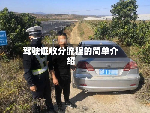驾驶证收分流程的简单介绍