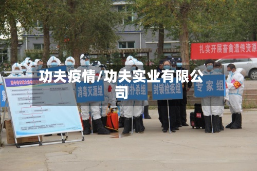 功夫疫情/功夫实业有限公司-第2张图片