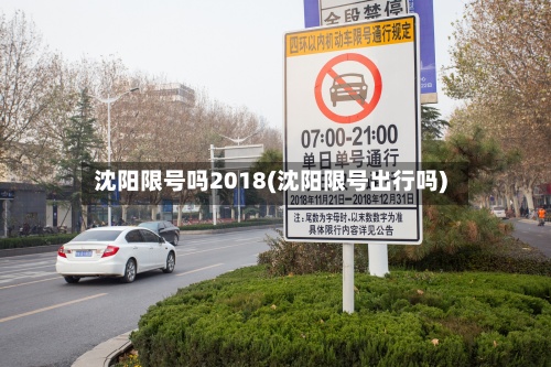 沈阳限号吗2018(沈阳限号出行吗)-第2张图片