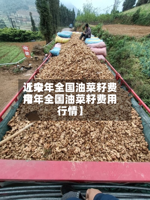 近来【今年全国油菜籽费用今年全国油菜籽费用行情】-第3张图片