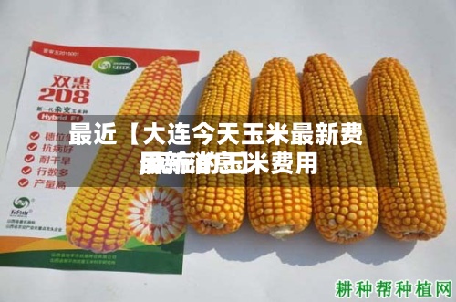 最近【大连今天玉米最新费用,现在的玉米费用最新消息】-第2张图片
