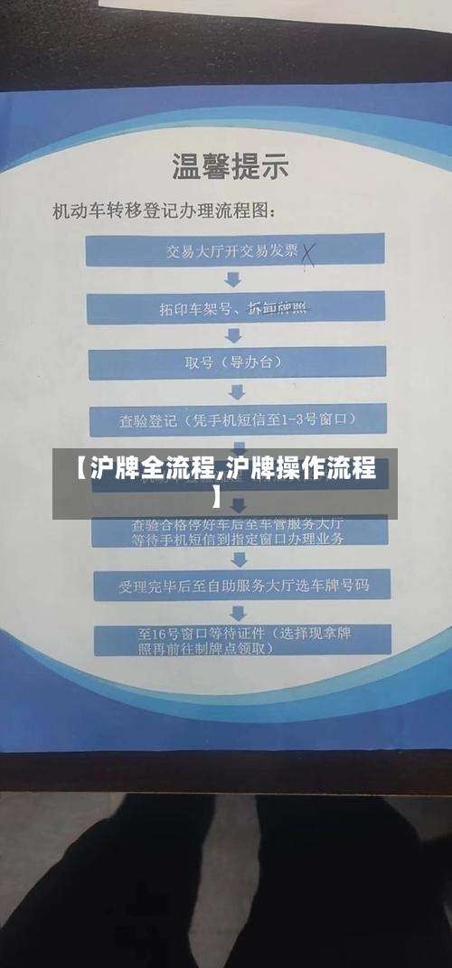 【沪牌全流程,沪牌操作流程】