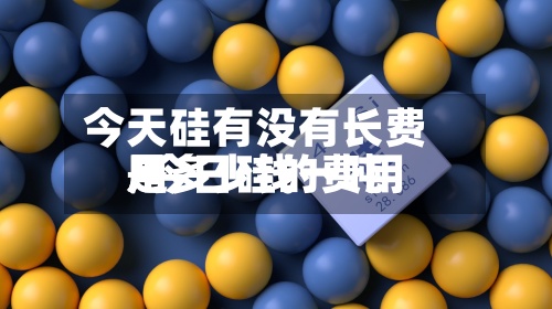 今天硅有没有长费用/今日硅的费用是多少钱一吨