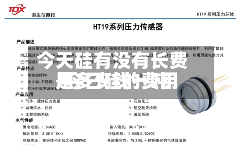 今天硅有没有长费用/今日硅的费用是多少钱一吨-第3张图片