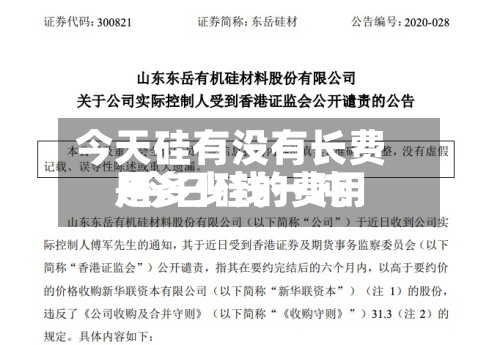 今天硅有没有长费用/今日硅的费用是多少钱一吨-第2张图片