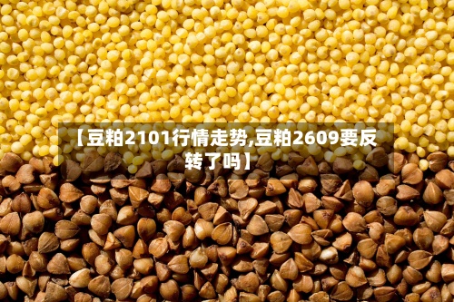【豆粕2101行情走势,豆粕2609要反转了吗】