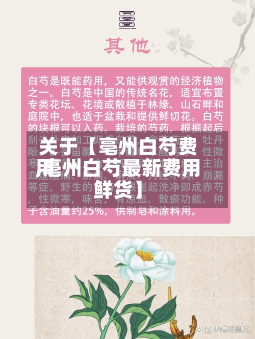 关于【亳州白芍费用,亳州白芍最新费用鲜货】-第2张图片