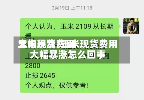 玉米现货费用大幅暴涨/玉米现货费用大幅暴涨怎么回事-第2张图片