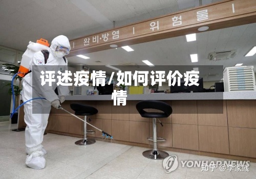 评述疫情/如何评价疫情