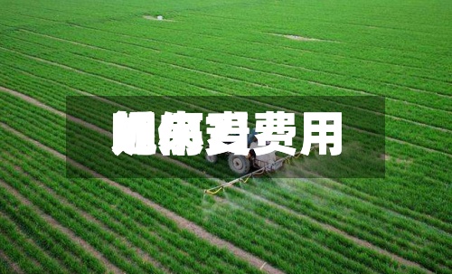 近来
【小麦费用
呢小麦费用
如何?】-第3张图片