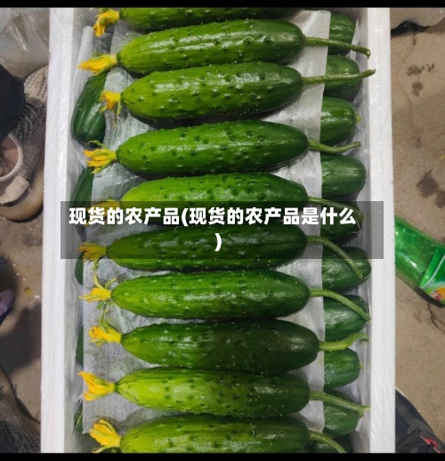 现货的农产品(现货的农产品是什么)