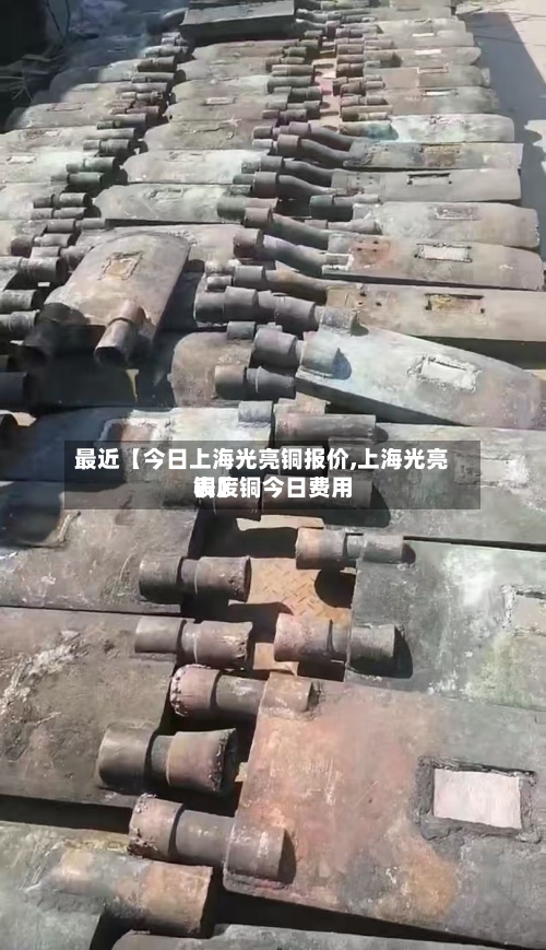 最近【今日上海光亮铜报价,上海光亮铜废铜今日费用
表】-第2张图片