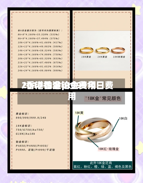 2017香港铂金费用/香港铂金pt999今日费用