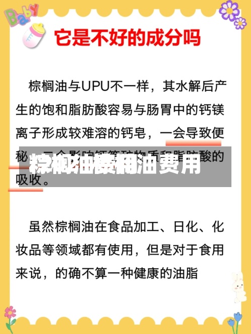 粽榈油费用
/2021棕榈油费用
-第3张图片