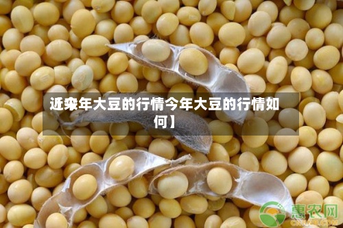近来【今年大豆的行情今年大豆的行情如何】-第3张图片