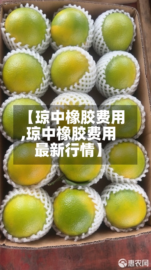 【琼中橡胶费用,琼中橡胶费用最新行情】