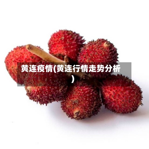 黄连疫情(黄连行情走势分析)-第2张图片