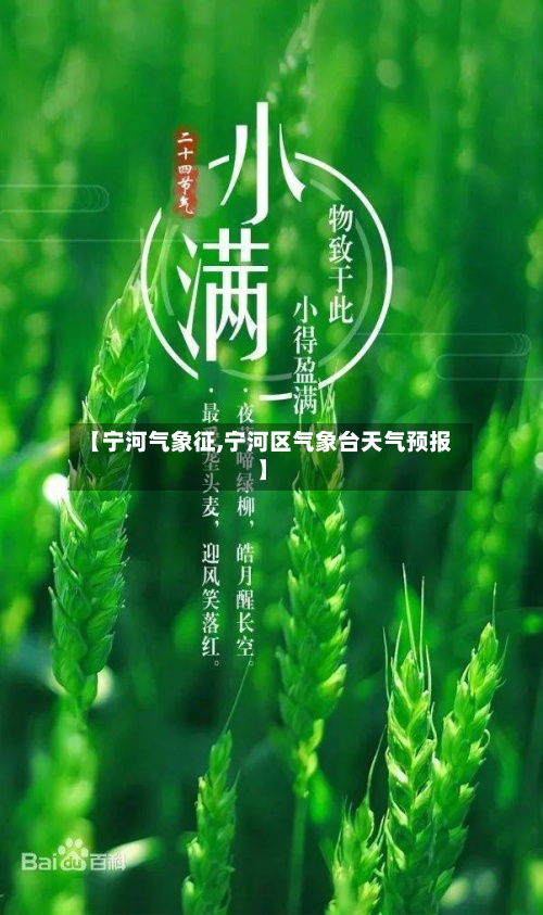 【宁河气象征,宁河区气象台天气预报】