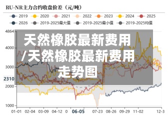 天然橡胶最新费用/天然橡胶最新费用走势图
