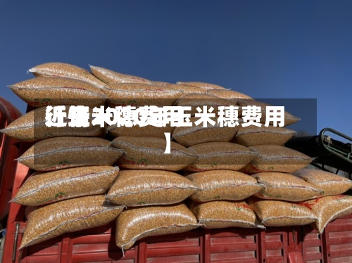 近来【玉米穗费用行情2020年玉米穗费用】
