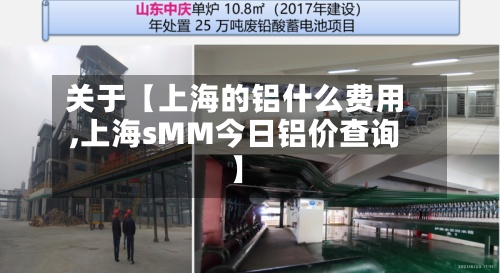 关于【上海的铝什么费用,上海sMM今日铝价查询】-第3张图片