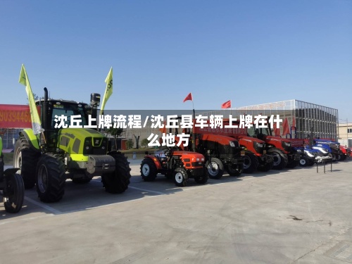 沈丘上牌流程/沈丘县车辆上牌在什么地方