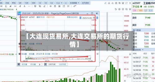 【大连现货易所,大连交易所的期货行情】-第2张图片