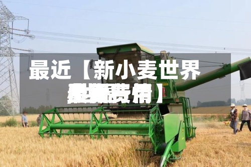 最近【新小麦世界费用,世界小麦费用最新行情】