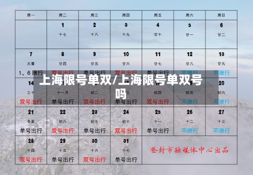 上海限号单双/上海限号单双号吗-第3张图片