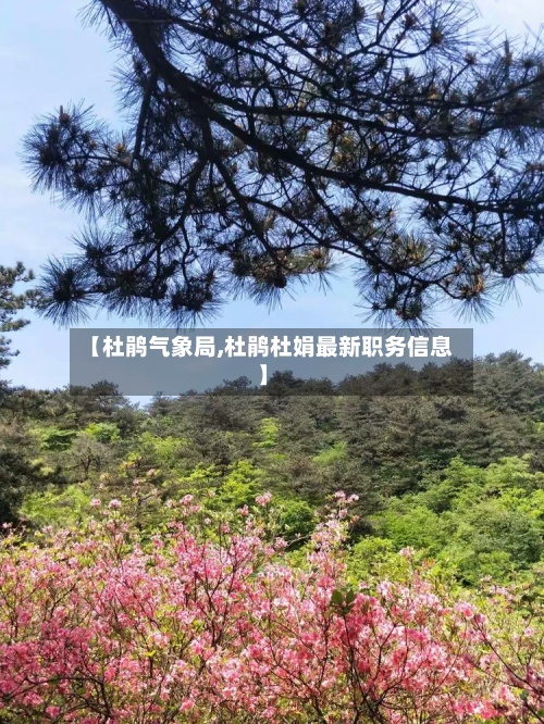 【杜鹃气象局,杜鹃杜娟最新职务信息】