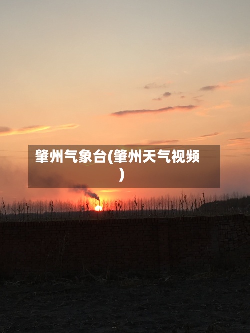 肇州气象台(肇州天气视频)