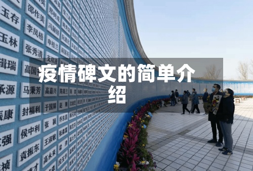 疫情碑文的简单介绍-第3张图片