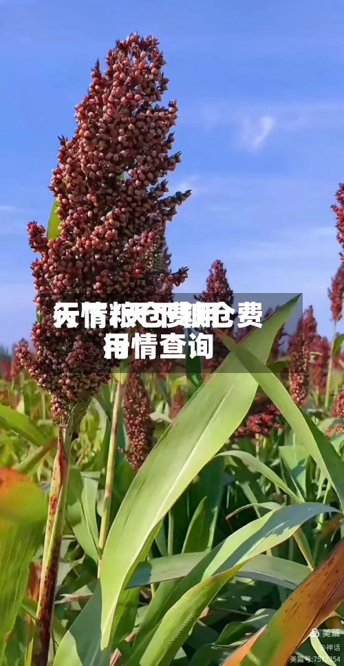 天下粮仓费用
行情/天下粮仓费用
行情查询-第2张图片