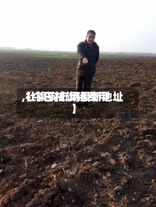 【今日社旗猪费用
,社旗狗市场最新地址】-第2张图片