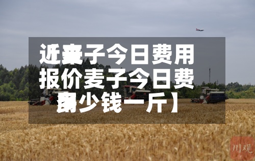 近来
【麦子今日费用
报价麦子今日费用
多少钱一斤】-第2张图片