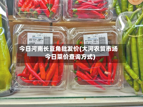 今日河南长豆角批发价(大河农贸市场今日菜价查询方式)