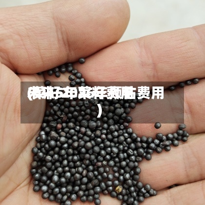 未来5年菜籽费用(菜籽2026年预估费用)