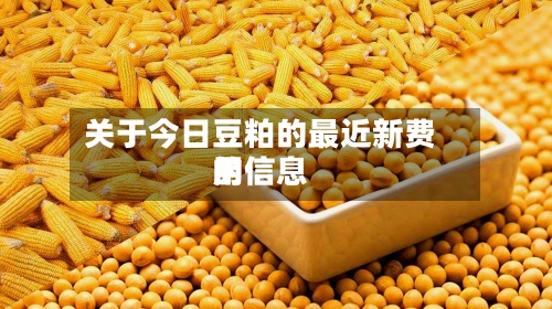 关于今日豆粕的最近新费用
的信息-第2张图片
