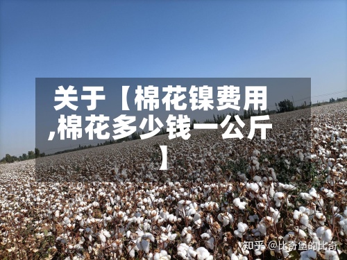 关于【棉花镍费用
,棉花多少钱一公斤】-第3张图片