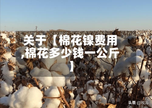 关于【棉花镍费用
,棉花多少钱一公斤】-第2张图片