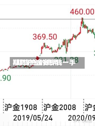 期货沪金的费用/期货沪金多少钱一手