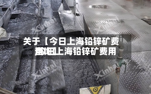 关于【今日上海铅锌矿费用
,今日上海铅锌矿费用
查询】-第3张图片