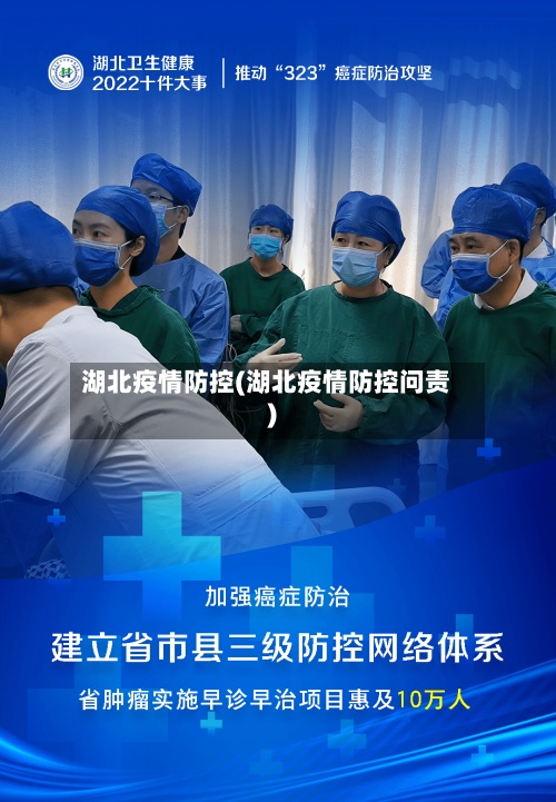 湖北疫情防控(湖北疫情防控问责)-第3张图片